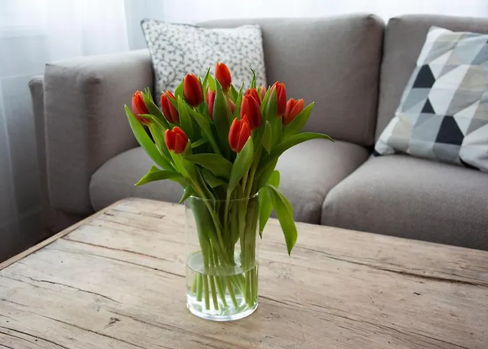 Josianne סאס פה